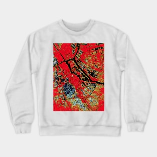 Fire in the Belly of an old Trunk Crewneck Sweatshirt